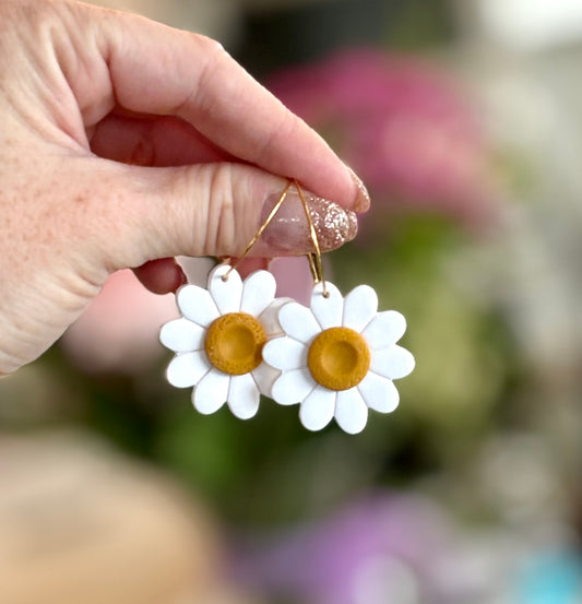 Daisies